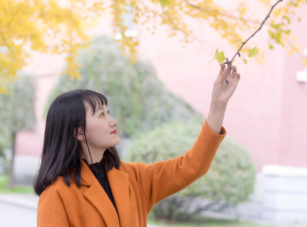 菲律宾学驾照多长时间 驾照全面解说